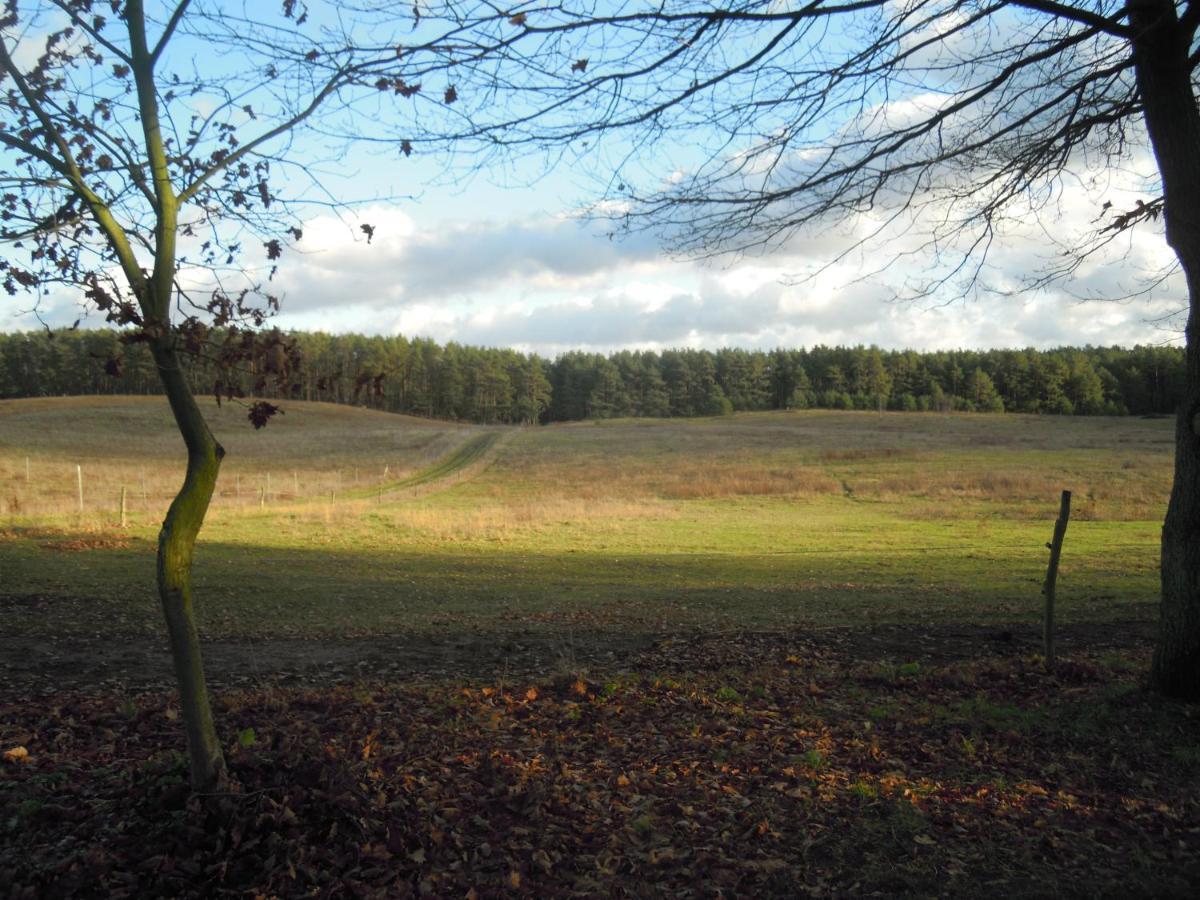 Holiday home Lenzer Ferienidyll Am Plauer *